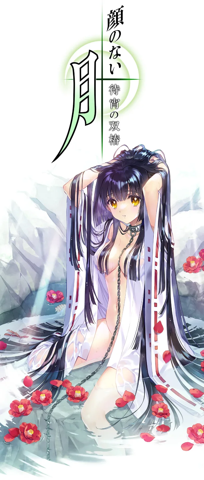 无颜之月-待宵双椿 无颜之月-待宵双椿 顔のない月 重制版介绍 封面图