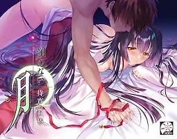 无颜之月-待宵双椿 操作界面 详情图